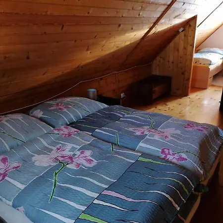 Rekreacni Chata U Hamerskeho Potoka Apartment